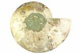 Cut & Polished Ammonite Fossil (Half) - Madagascar #359528-1